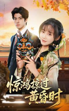 《惊鸿掠过黄昏时》