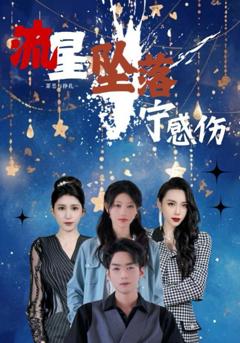 《流星坠落宁感伤》