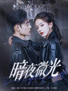 《暗夜微光》