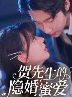《贺先生的隐婚蜜爱》