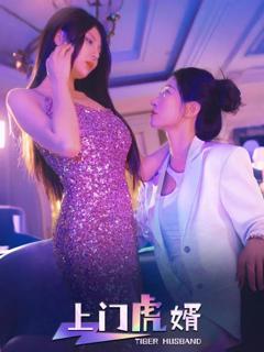 《上门虎婿》