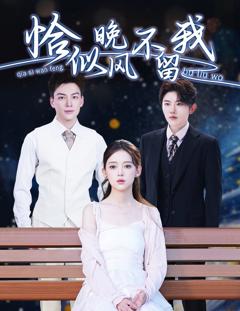 《恰似晚风不留我（弃他如风）》