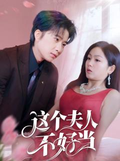 《这个夫人不好当》