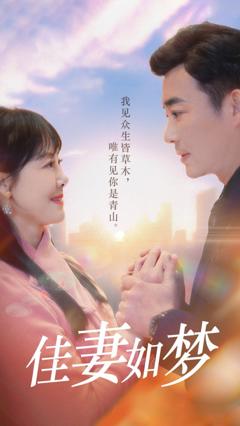 《新佳妻如梦》