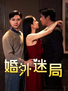 《婚外迷局》
