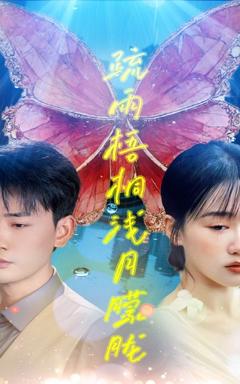 《疏雨梧桐浅月朦胧》