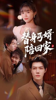 《替身丐婿陪回家》