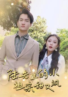 《陆先生的小祖宗甜又飒（落魄千金的逆袭恋曲）》