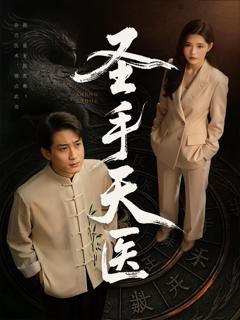 《圣手天医》