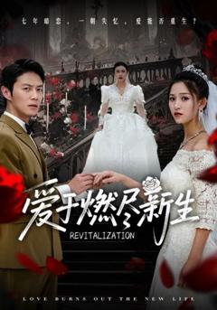 《爱于燃尽新生》