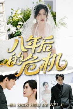 《八年后的危机》