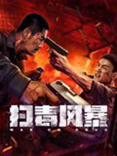 《扫毒风暴》