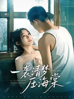 《一袭清梦压海棠》