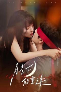 《月光下的重逢》