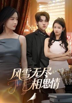 《风雪无尽相思情》