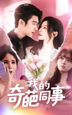 《我的奇葩同事》