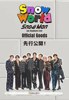 《Snow Man 首次体育场演唱会》
