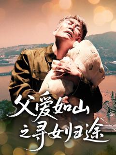 《父爱如山之寻女归途》