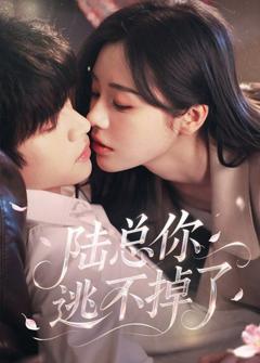 《陆总你逃不掉了（爱意难逃）》