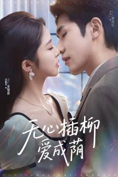 《无心插柳爱成荫》