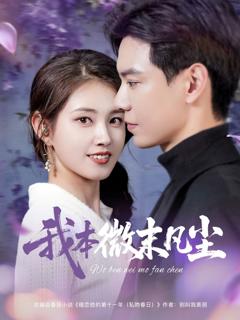 《我本微末凡尘》
