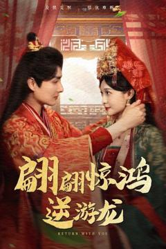 《翩翩惊鸿逆游龙》