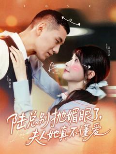 《陆总别抛媚眼了夫人她真不懂爱》