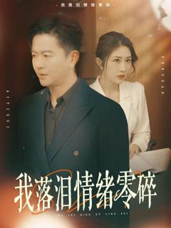 《我落泪情绪零碎》