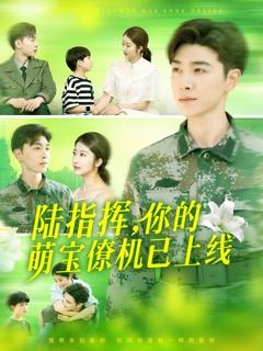 《陆指挥你的萌宝僚机已上线》