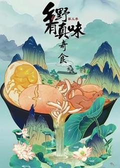 《乡野有真味3奇食》