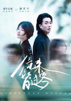 《往来皆过客》