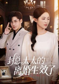 《封总太太的离婚生效了》