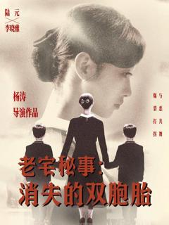 《老宅秘事消失的双胞胎（消失的孩子）》