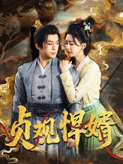 《贞观悍婿》