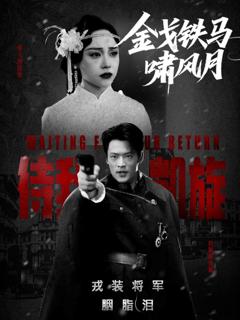 《金戈铁马啸风月》