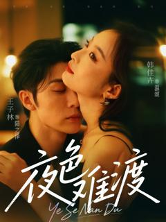 《夜色难渡》