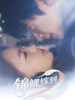 《锦鲤嫁到》