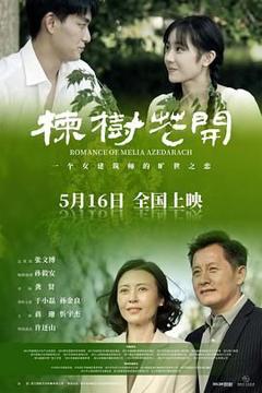 《楝树花开》