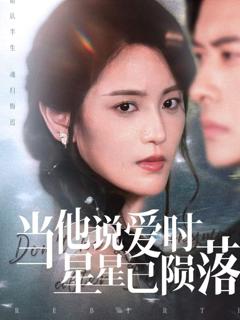 《当他说爱时星星已陨落》