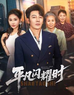 《平凡闪耀时》