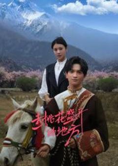 《去桃花盛开的地方》
