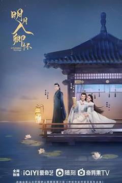 《明月入卿怀2025》