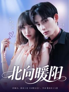 《北向暖阳》