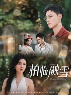 《柏临融雪》
