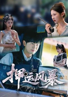 《押运风暴》