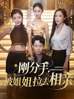 《刚分手，被姐姐拉去相亲》