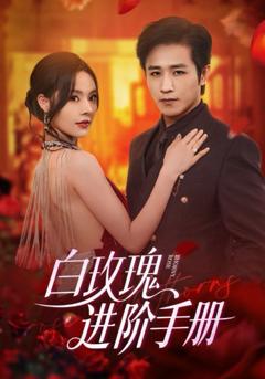 《白玫瑰进阶手册》