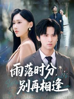 《雨落时分别再相逢》