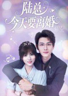 《陆总今天要离婚》