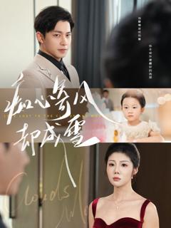 《痴心寄风却成雪》